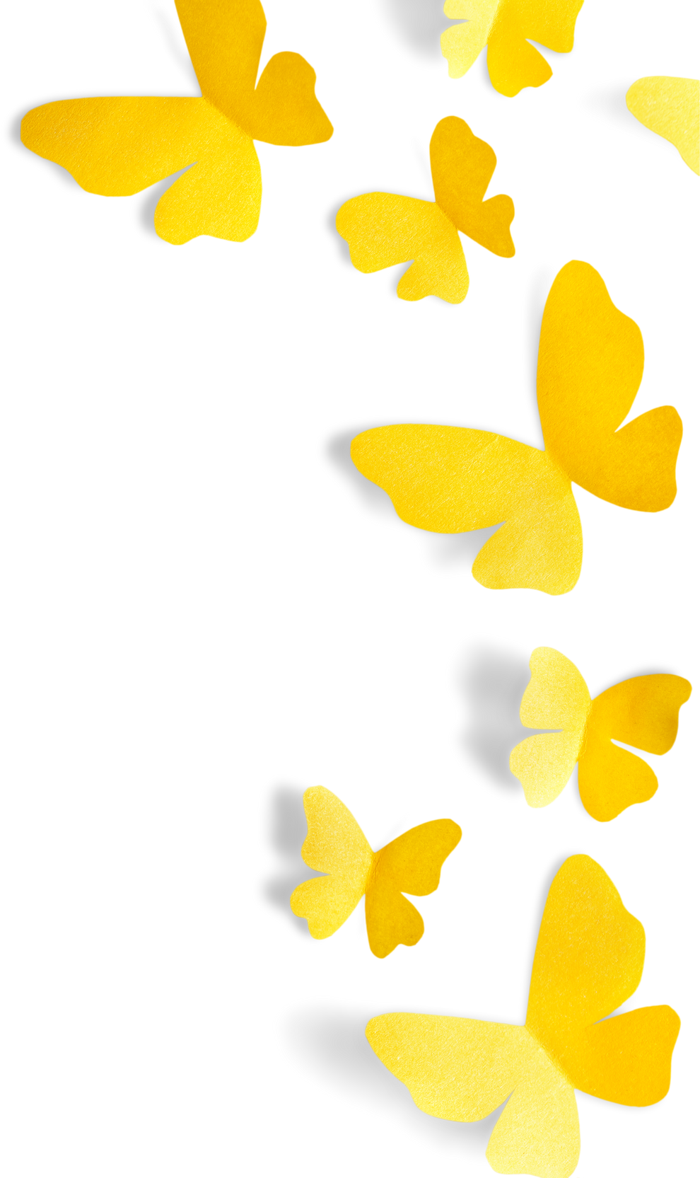 Butterflies Flying - Isolated Image