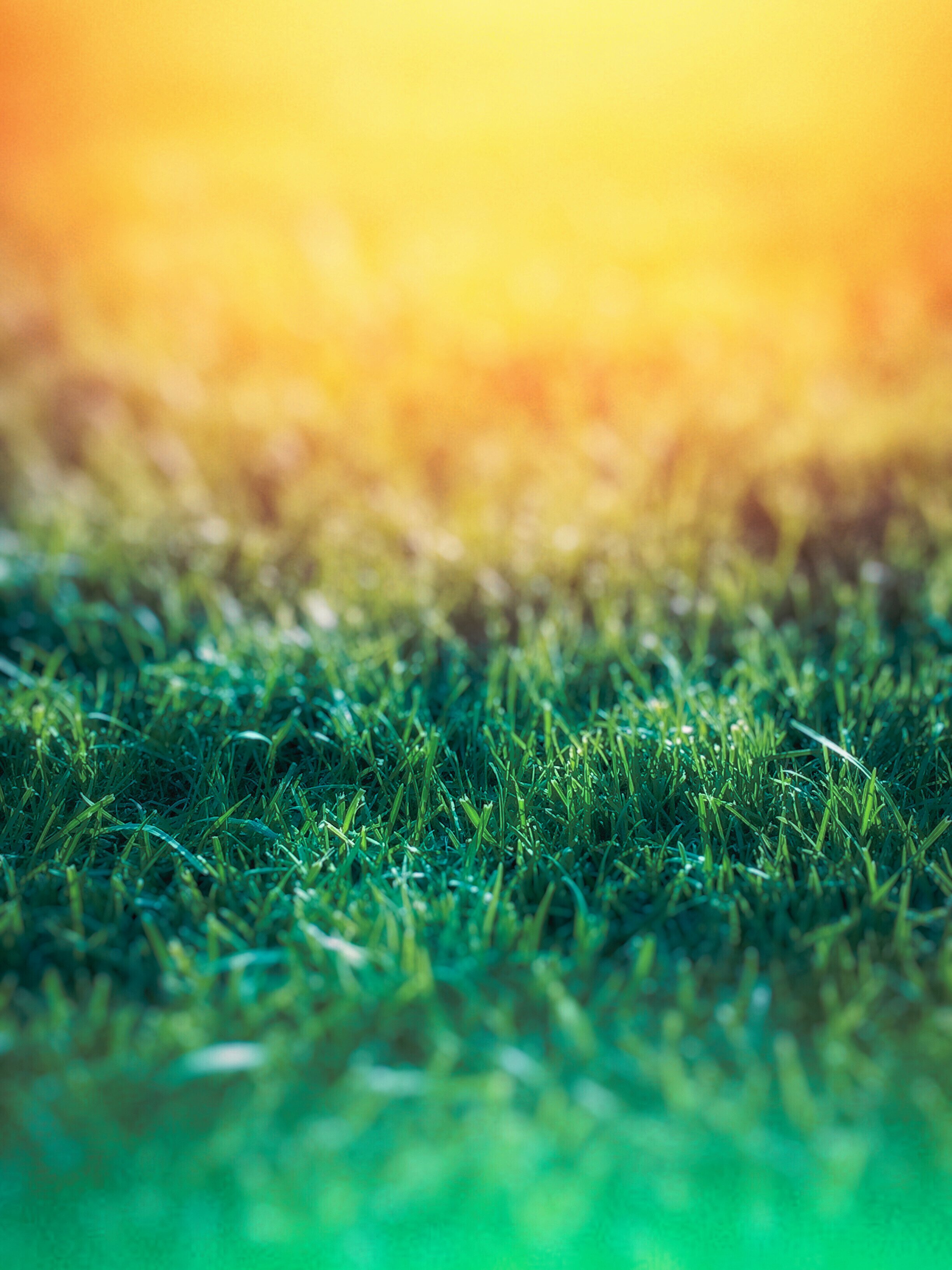 Green Grass over Yellow Background